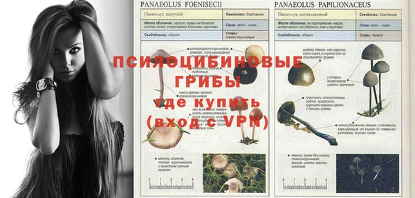 таблы Белокуриха